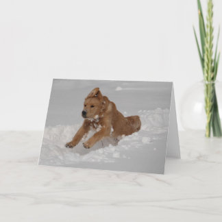 Cartão Flor de Neve!