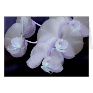 Cartão flor de orquídeas