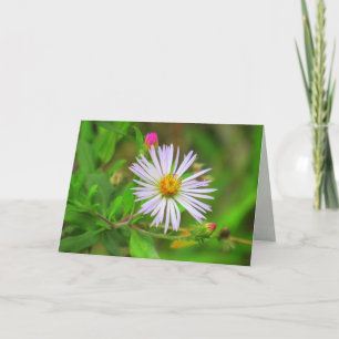 Cartão Flor de pântano (5064)