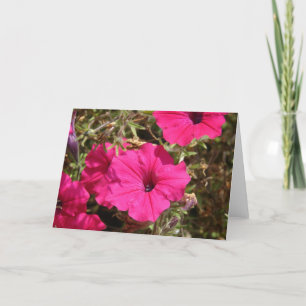 Cartão Flor de Petunia Rosa Quente