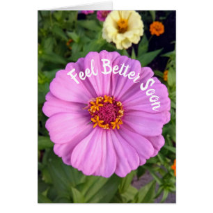 Cartão Flor de Zinnia Rosa Elegante Sente-se melhor