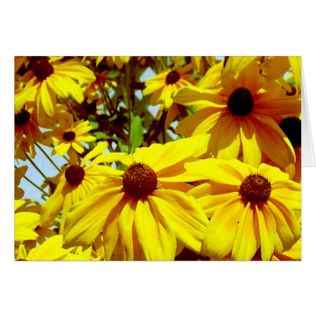 Cartão Flor do Amor_ (Frente Horizontal)