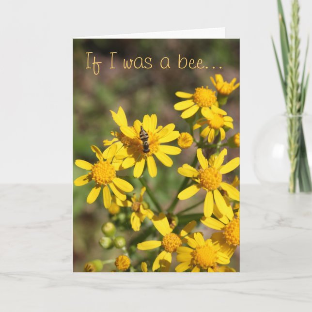 Cartão Flor do aniversário somente (Frente)