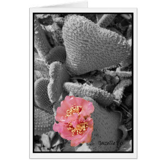 Cartão Flor do cacto