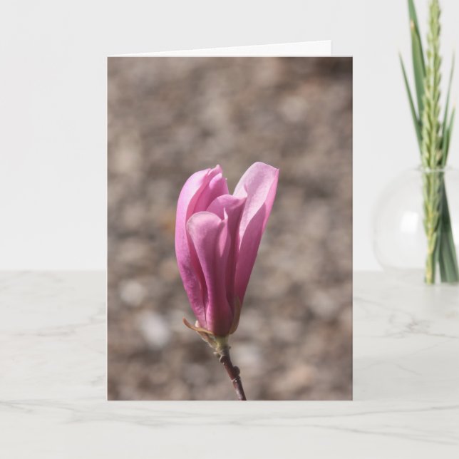 Cartão Flor do dia de as mães (Frente)