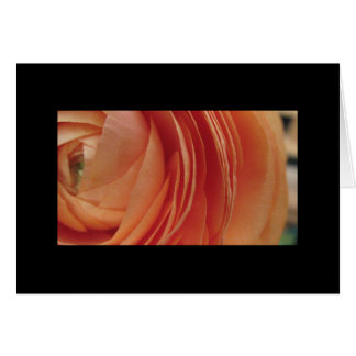 Cartão Flor do pêssego