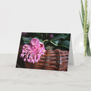 Cartão Flor do solteiro