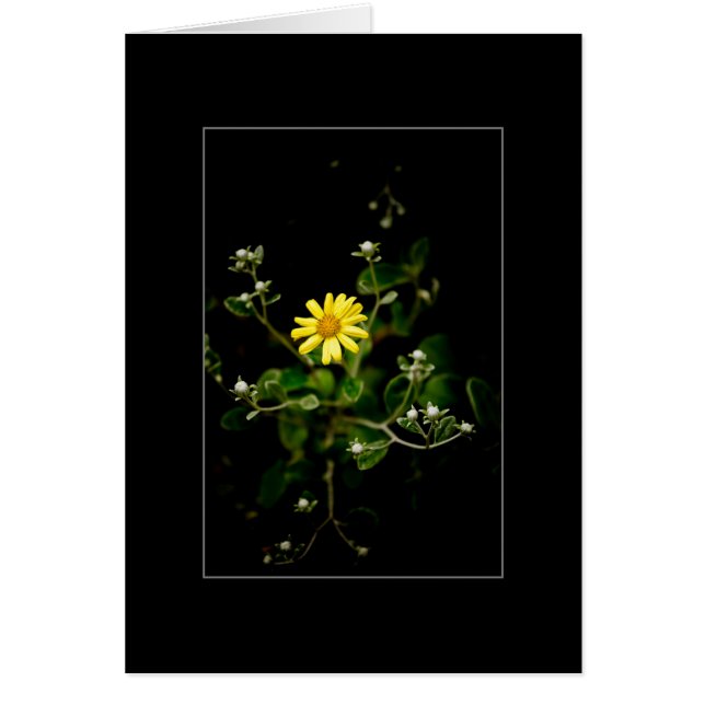 Cartão Flor e botões (Frente)