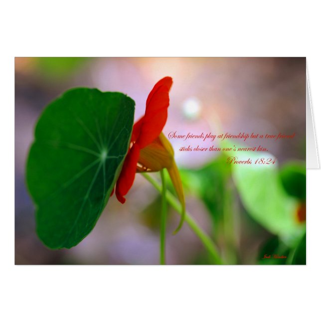 Cartão Flor e planta se inclinam. (Frente Horizontal)