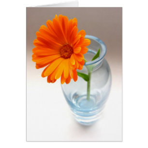 Cartão Flor e Vase