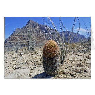 Cartão Flor Grand Canyon