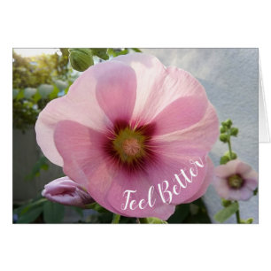 Cartão Flor Hollyhock Cor-de-rosa brilhante Sente-se melh