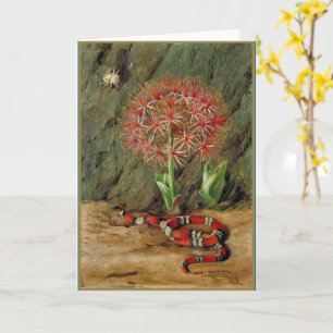 Cartão Flor Imperiale Coral Snake e Aranha