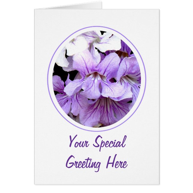 Cartão Flor nº 13 (Frente)