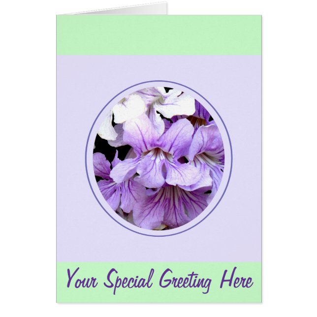 Cartão Flor nº 13 (Frente)