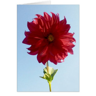 Cartão Flor no céu