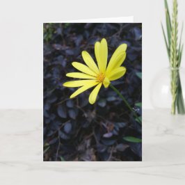 Cartão Flor no festival Notecards (vazio para dentro)