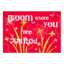 Flor onde você é plantado