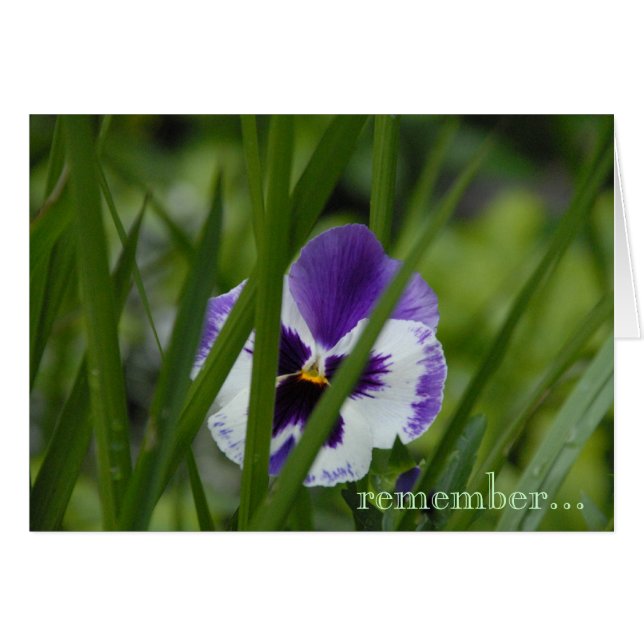Cartão flor onde você é plantado… (Frente Horizontal)