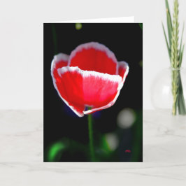 Cartão Flor para você