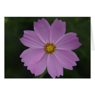 Cartão flor perfeita