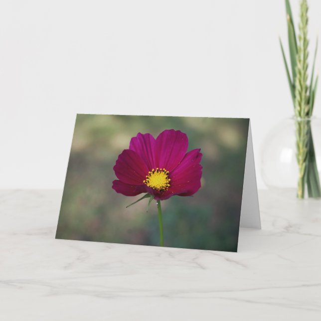 Cartão Flor perfeito da irmã (Frente)