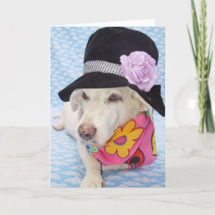 Cartão Flor Power Myrtie Birthday