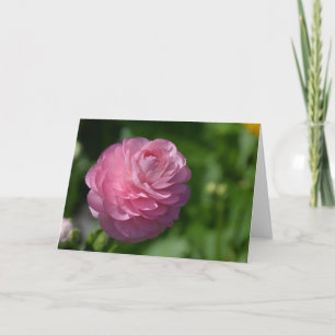 Cartão Flor ranóculo rosa