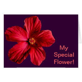 Cartão Flor Red Hibiscus
