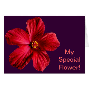 Cartão Flor Red Hibiscus