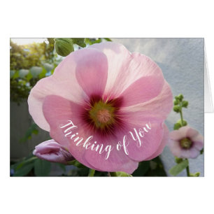 Cartão Flor rosa brilhante Hollyhock Pensando na sua plac