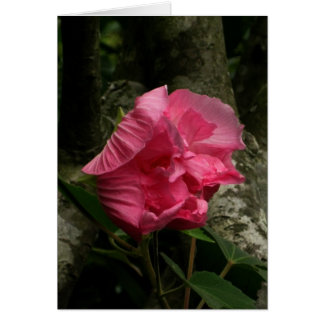 Cartão Flor rosa com vento vazio