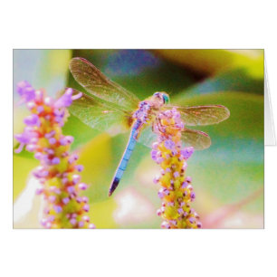 Cartão flor rosa e mosca dragão