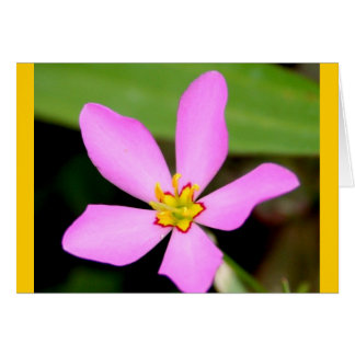 Cartão Flor rosa Fundido