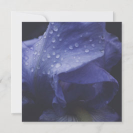 Cartão Flor Rosa púrpura