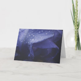 Cartão Flor Rosa púrpura