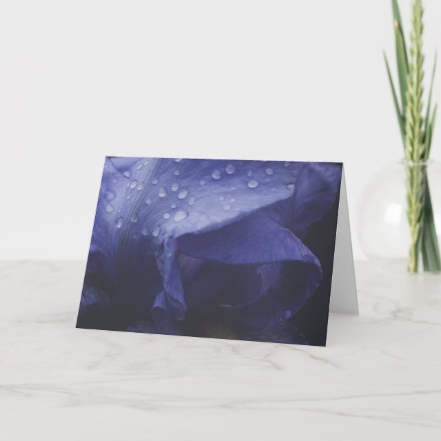 Cartão Flor Rosa púrpura (Frente)