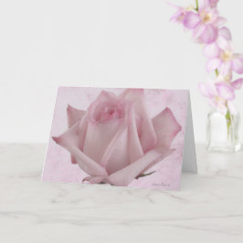 Cartão Flor Rosa Rosa Rosa Suave