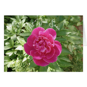 Cartão Flor Rosa Vibrante De Pêonias Consiga Bem Em Breve