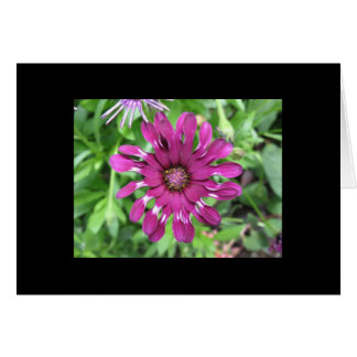 Cartão Flor roxa