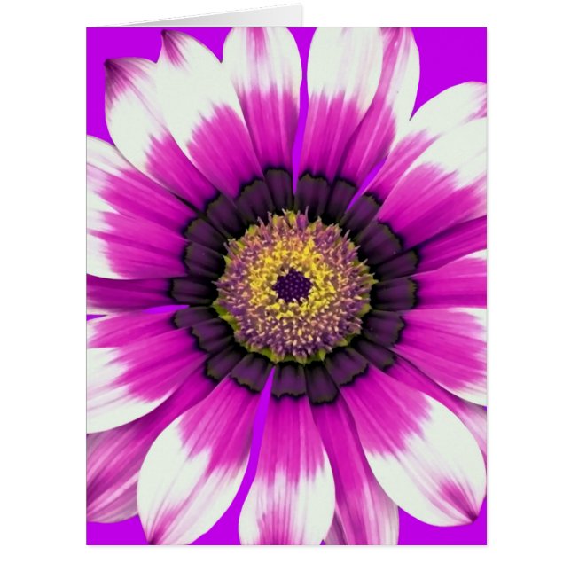 Cartão Flor roxa bonita (Frente)