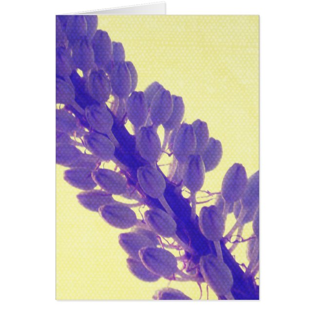 Cartão Flor roxa no amarelo (Frente)