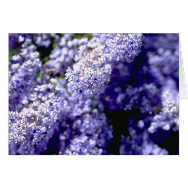 Cartão Flor Roxo (Frente Horizontal)