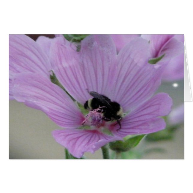 Cartão Flor Roxo Claro Com Placa De Abelhas (Frente Horizontal)