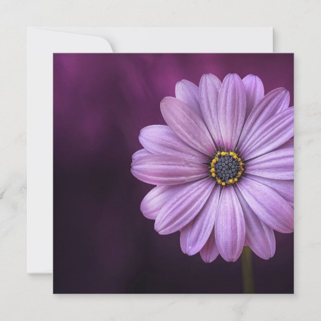 Cartão Flor Roxo no Bloom (Frente)
