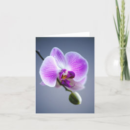 Cartão Flor Roxo, ORCHID e Bud na Placa de Nota de Tronco