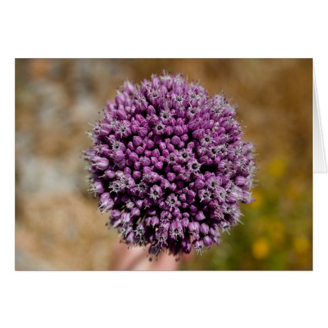 Cartão Flor Selvagem (Frente Horizontal)