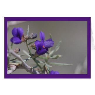 Cartão Flor silvestre do deserto roxo