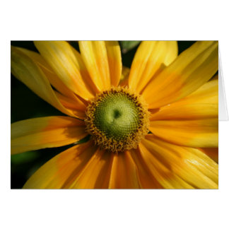 Cartão Flor Sunny