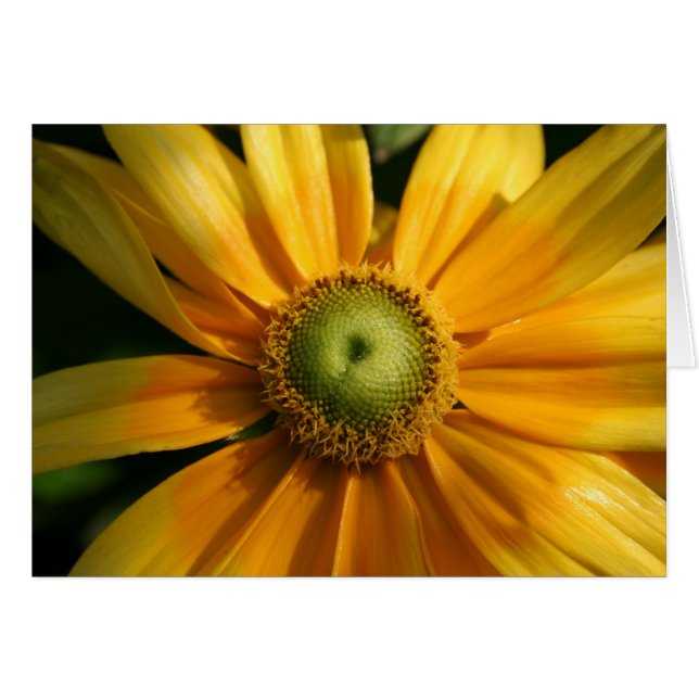 Cartão Flor Sunny (Frente horizontal)